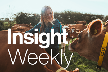 1614 TBR15861 9432 Insight Weekly Website