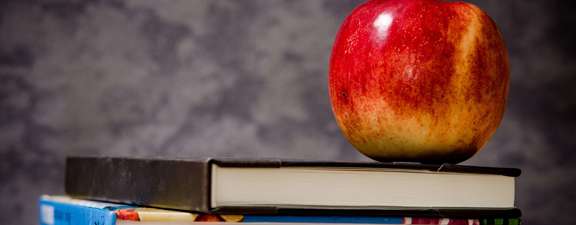 School Tax Fees Planning 1