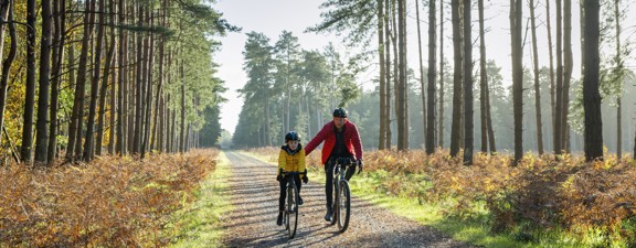 PC 2.2.6 B Gettyimages 1443255184