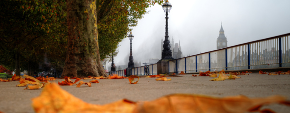 Gettyimages 591983247