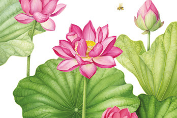 1490 TBR15899 9474 Wealth Matters Webtile 348X232px