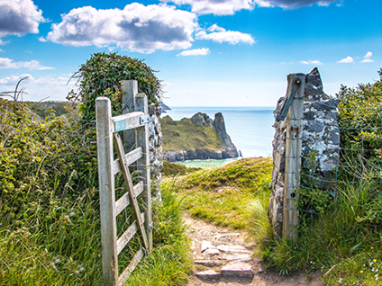 Gettyimages 519319882