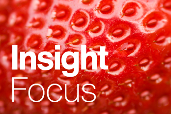 1471 TBR15462 8461 Insight Focus Website Tiles