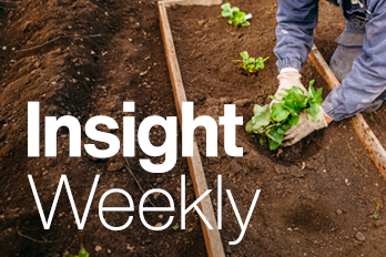 1970 TBR16930 11823 Insight Weekly Web Tiles