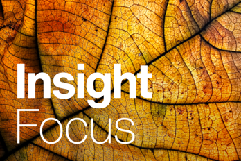 1614 TBR15856 9429 Insight Focus Website