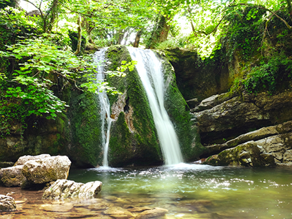 Gettyimages 1983051835