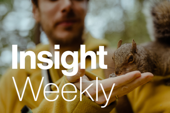 1614 TBR15867 9432 Insight Weekly Website
