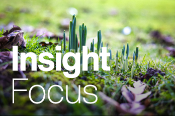 1970 TBR16958 60 11828 Insight Focus Website