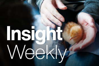 4, 25.03 1325 CBAM14240 7216 Insight Weekly Website