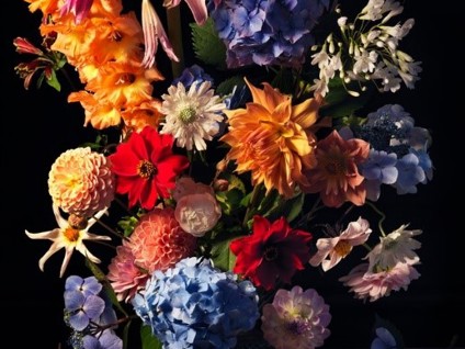 RHS.Saatchi Photography Competition, Early August By Michele Turriani