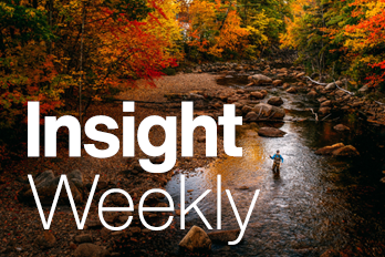 2221 TBR18855 13582 Insight Weekly Website
