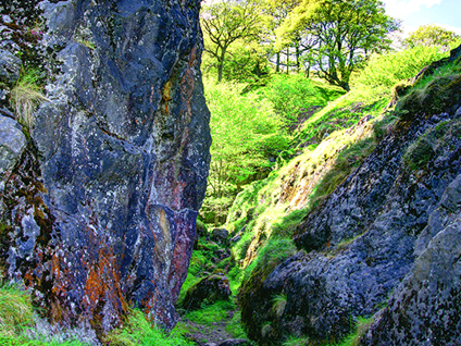 Gettyimages 687965542