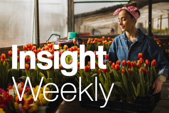 1970 TBR16921 11823 Insight Weekly Web Tiles