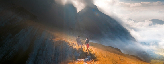 864 CBAM12207 3730 Investor Insights Spring 1900X450 (2)