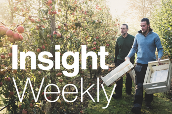 1614 TBR15862 9432 Insight Weekly Website