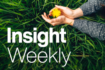 1970 TBR16919 11823 Insight Weekly Web Tiles