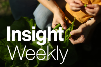 1970 TBR16929 11823 Insight Weekly Web Tiles