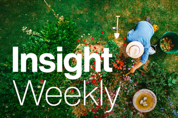 2105 TBR18541 12661 Insight Weekly Website