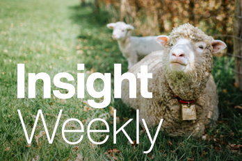 1970 TBR16923 11823 Insight Weekly Web Tiles