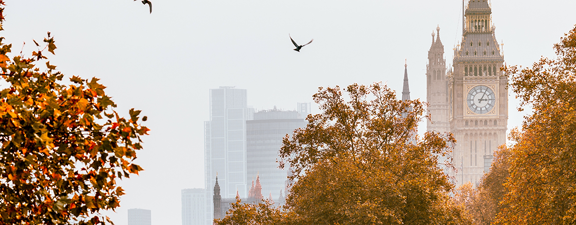 1710 TBR16222 10426 Autumn Budget 2025 Website 1950X450